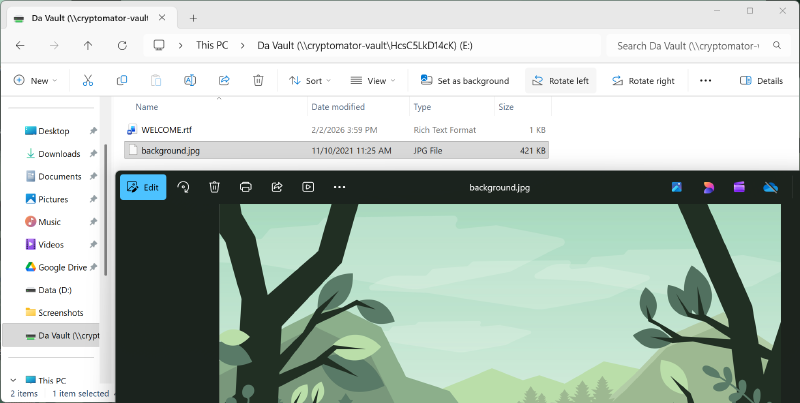 Files placed in vault